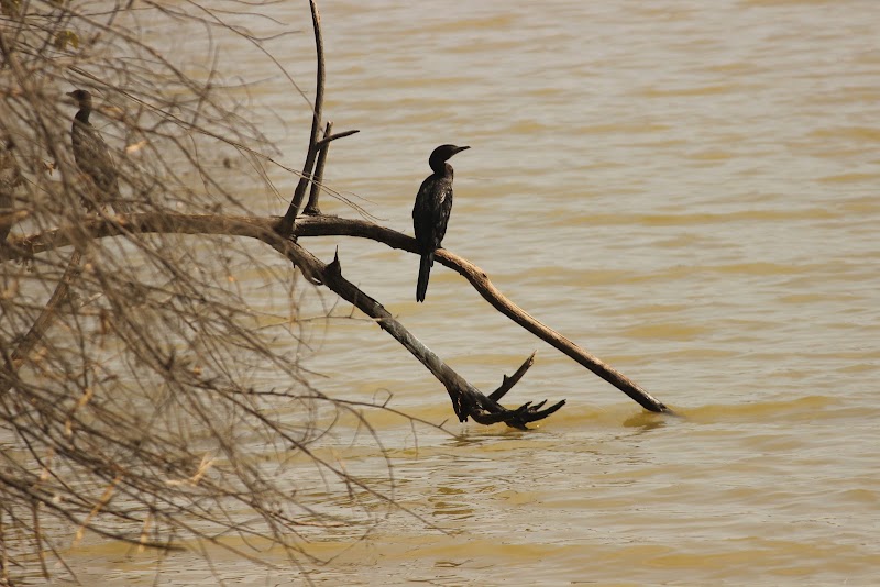 Hebbal Lake - Hebbal Lake, Hebbal Kempapura, Bengaluru, Karnataka 560092