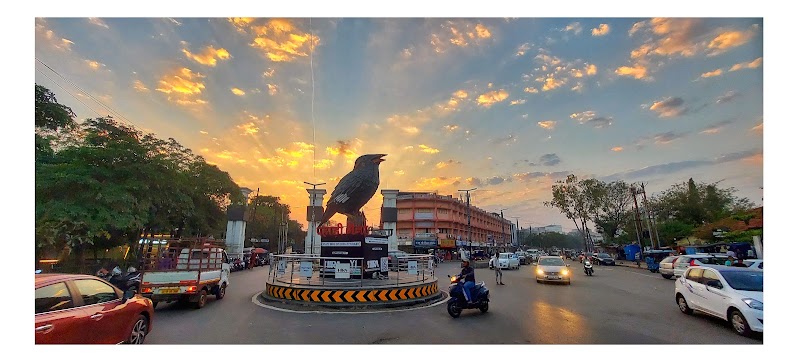 White House - White House, 7J2H+HR9, Janta Colony, Station Road, Moudhapara, Raipur, Chhattisgarh 492009, India