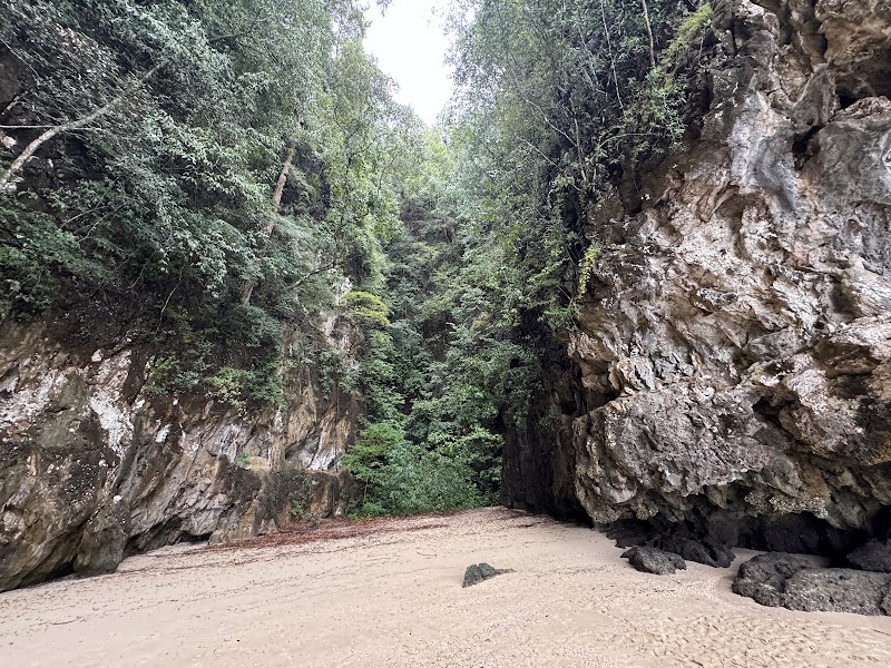 Monkey Beach - Monkey Beach 4QP3+XP, Khao Thong, Mueang Krabi District, Krabi, Thailand