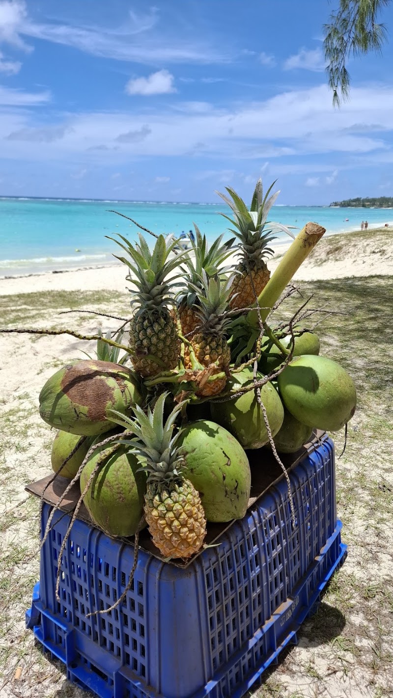 Public beach - Public beach, QQVR+82Q, Hotel Street, Quatre Cocos, Mauritius