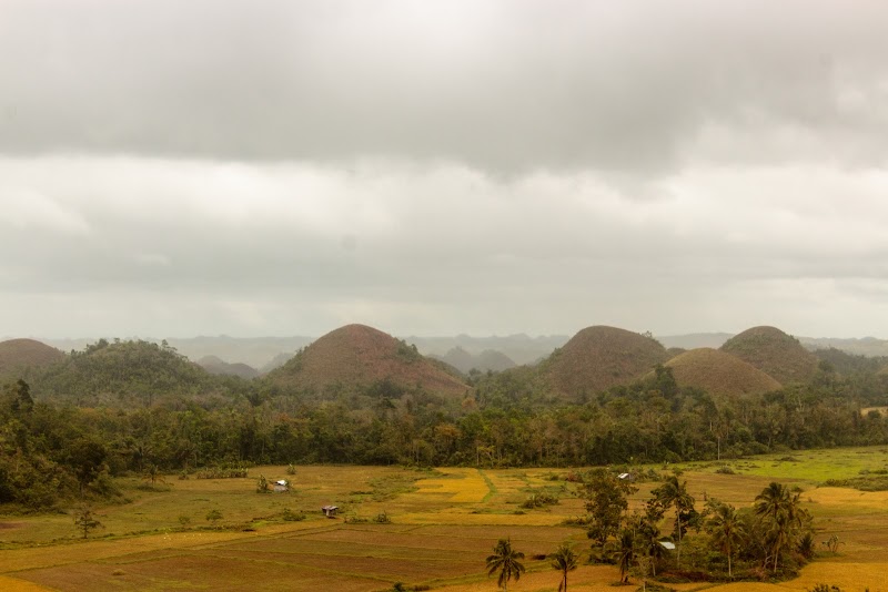 Chocolate Hills ATV Rental - Chocolate Hills ATV Rental, CARDASA NORTE, BUENOS AIRES, Carmen, Bohol, Philippines