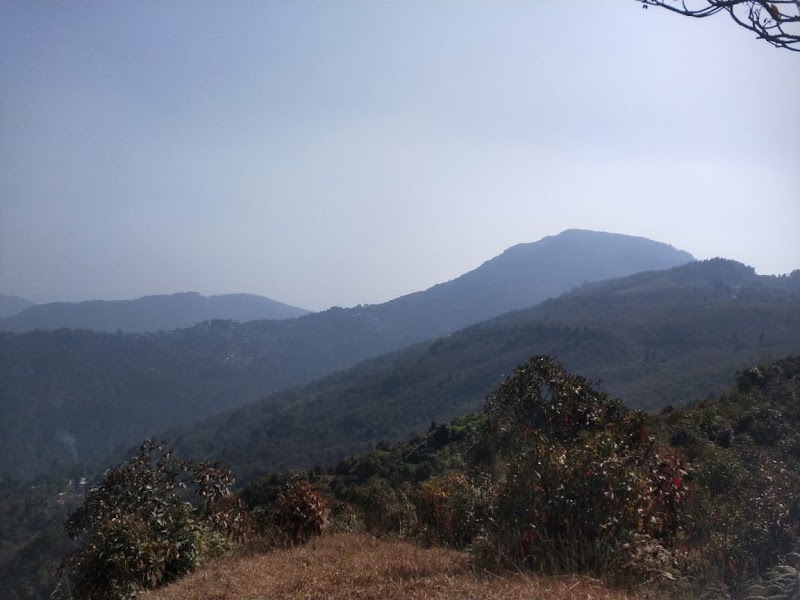 THE VILLAGE - THE VILLAGE, Sittong, Sittong Forest, West Bengal 734008, India