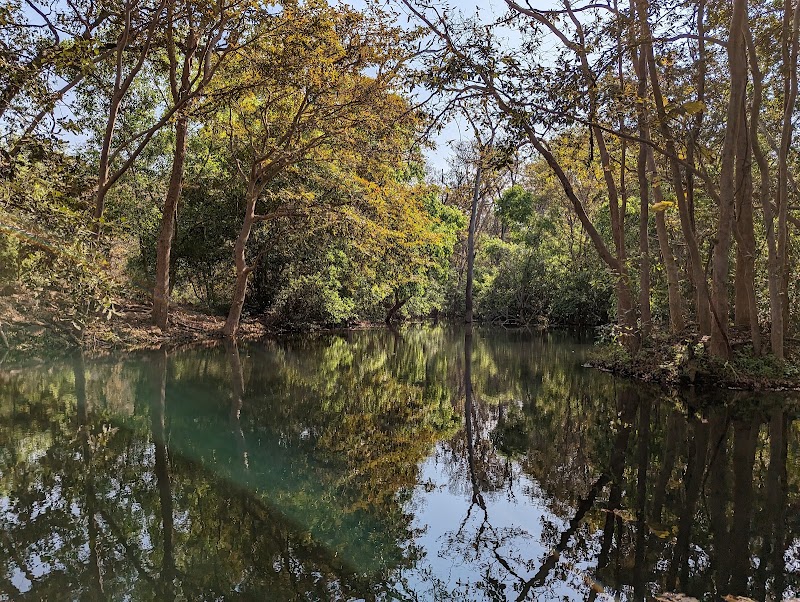 Panna Tiger Reserve - Panna Tiger Reserve, Mohan Niwas Palace, Gahra - Kunjvan Rd, Rani Baag, Panna, Madhya Pradesh 488001, India