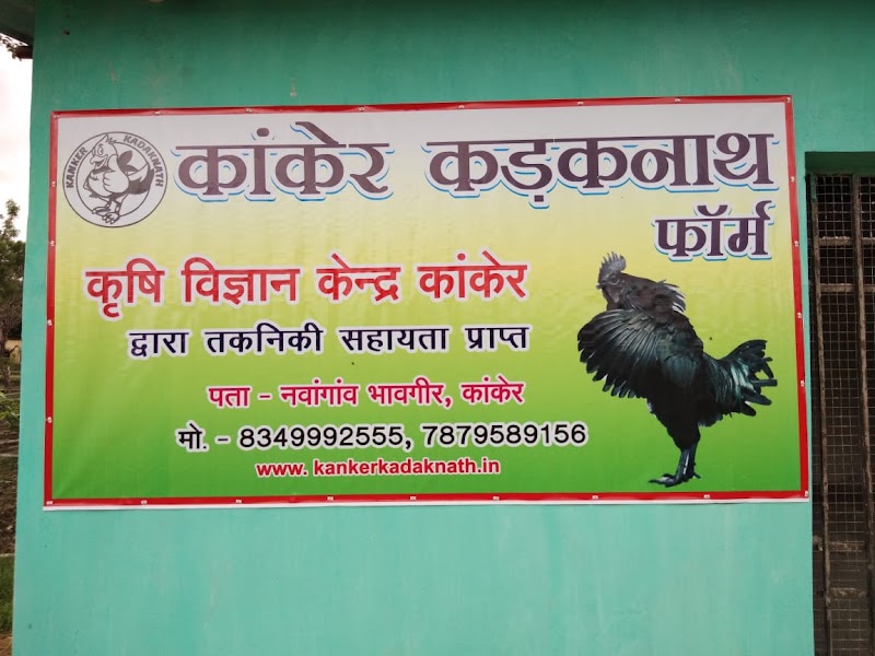 Kanker Kadaknath Farm - Kanker Kadaknath Farm, Nawagaon, Chhattisgarh 494334, India