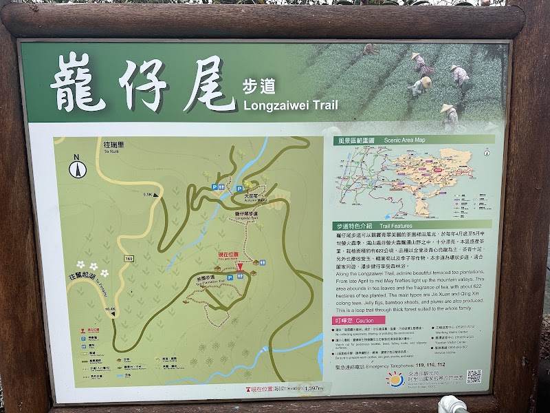 Longzaiwei Trail