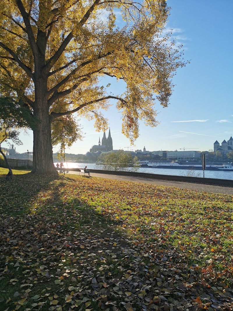 Im Rheinpark - Im Rheinpark, Auenweg, 50679 Köln, Germany