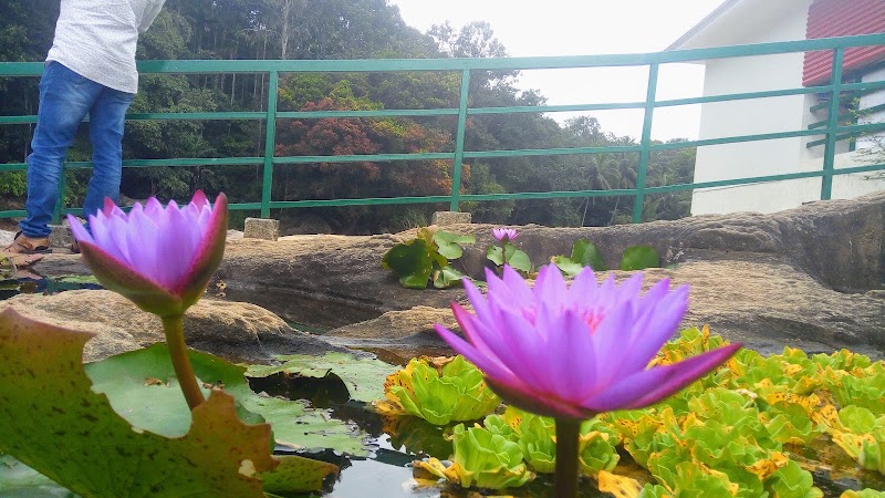 Chunayamakkal WaterFalls Munnar - Chunayamakkal WaterFalls Munnar Ellackal, Keralam 685565, India