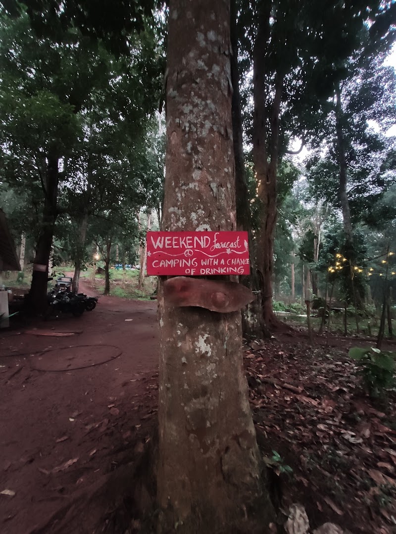 Wildvibes Wayanad - Wildvibes Wayanad, Kalladi, ayyappa temple road, Vellarimala, Kalladi, Keralam 673577, India