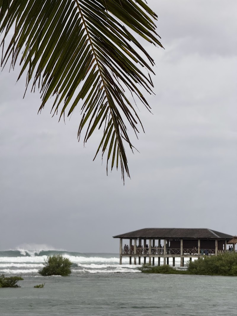 Cloud 9 Beach Club Siargao - Cloud 9 Beach Club Siargao, Jacking Horse, Cloud 9 Beach Club, Cloud 9 Dr, General Luna, 8419 Surigao del Norte, Philippines