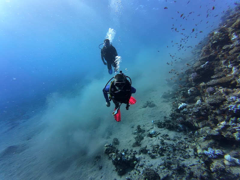 Blue Realm Dive Club - Blue Realm Dive Club, Lagoon Club & Resort, Dahab, South Sinai Governorate 8771501, Egypt