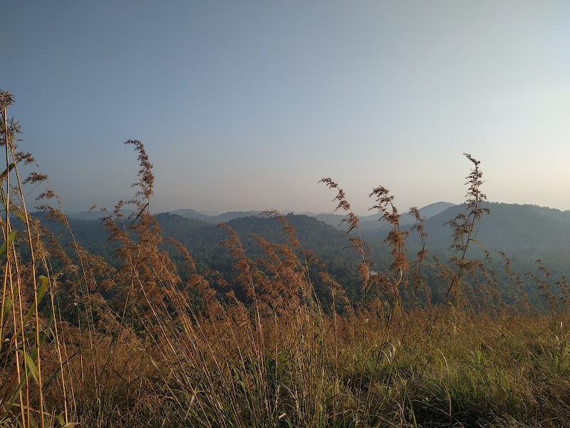 Aanjilora Hills - Aanjilora Hills, Malayil,Cheruvatta,Parambil (Po, via, Marikkunnu, Kozhikode, Kuruvattoor, Kerala 673012, India