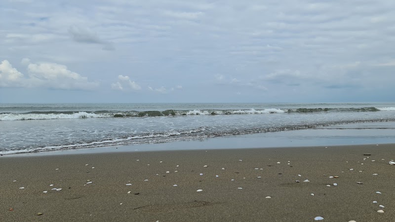 Black Sea - Black Sea