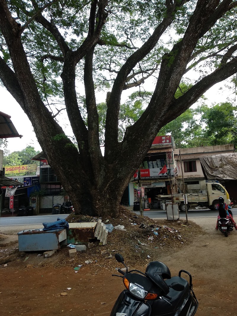 Muttathiparambu Market - Muttathiparambu Market, M958+3J5, Alappuzha, Keralam 688527, India