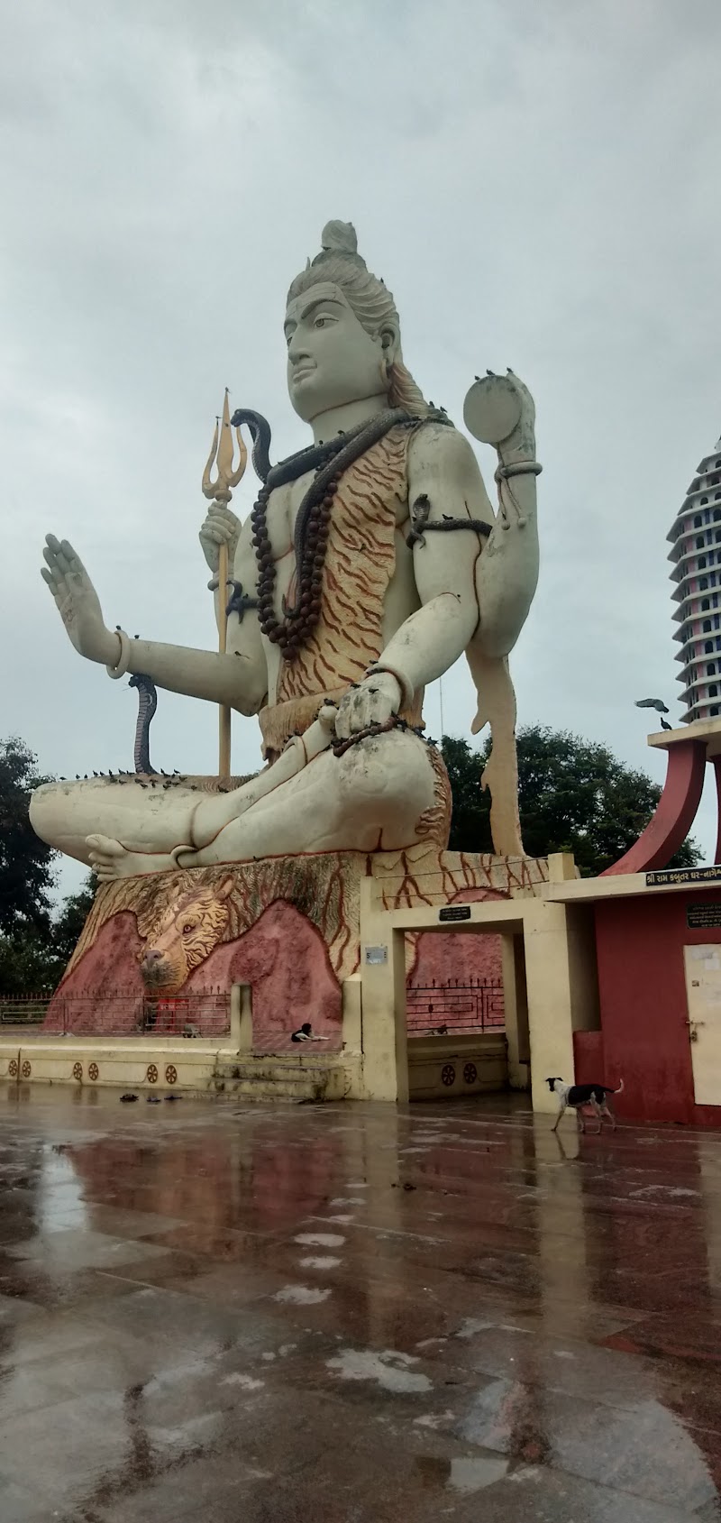 Daarukavanam - Daarukavanam, Gujarat 361335, India