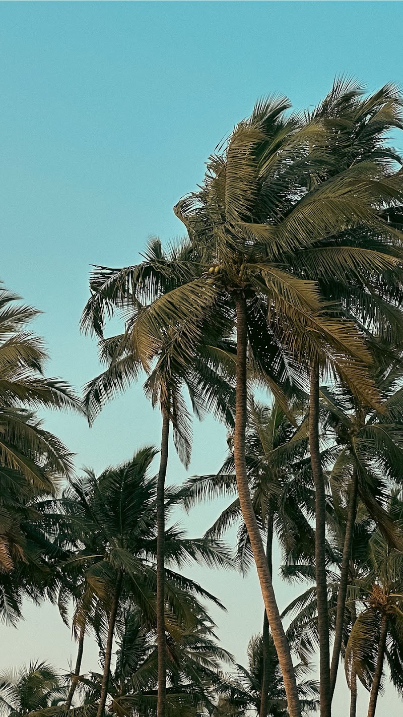 Awas Beach - Awas Beach, Maharashtra 402208, India