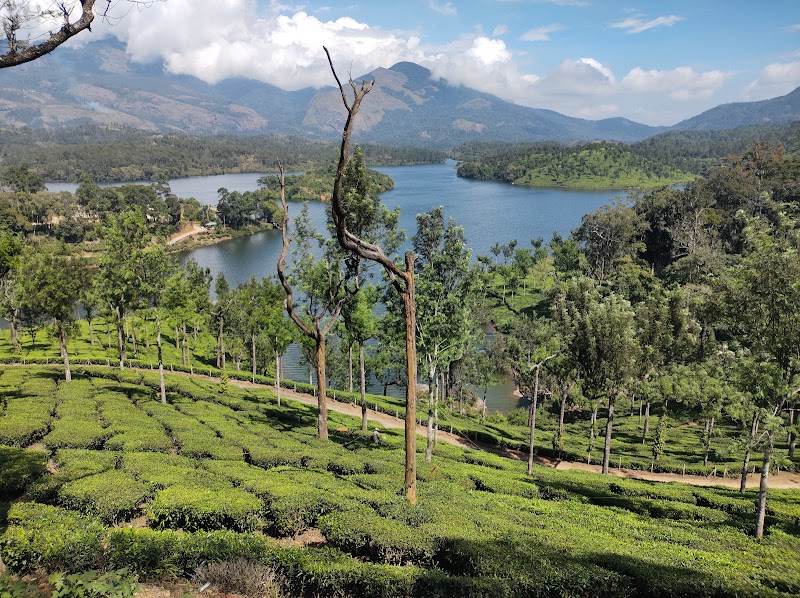 Lockhart Gap View - Lockhart Gap View Lockhart, Gap Road, Munnar, Kerala 685613, India