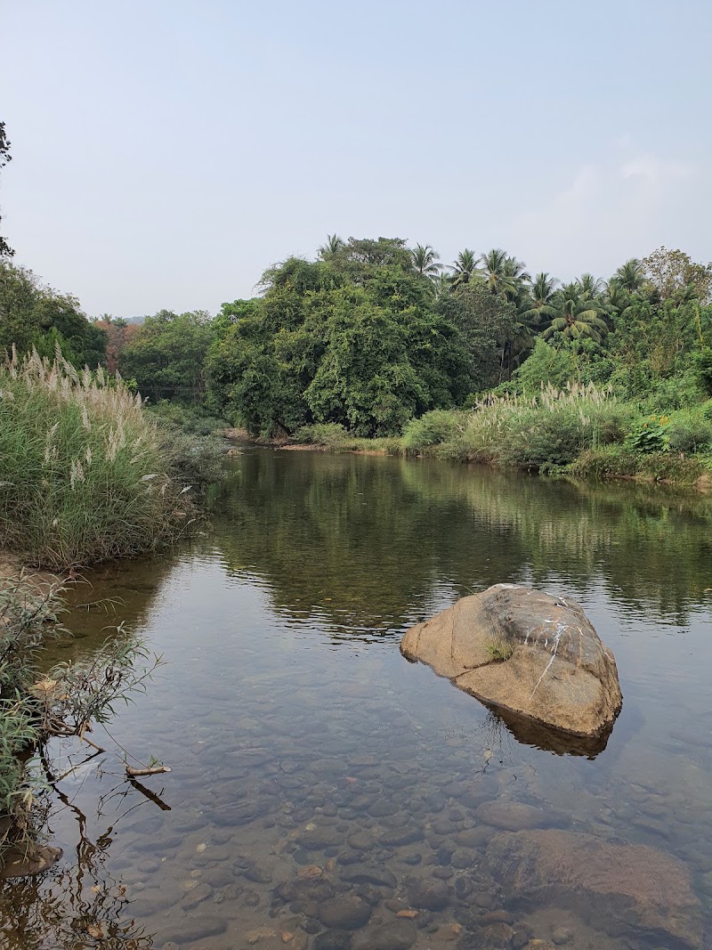Iruvanjippuzha - Iruvanjippuzha Iruvanjippuzha, Kerala 673661
