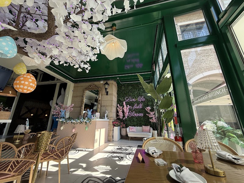 Bloom Room Social | Best Brunch in Suwanee, GA - Bloom Room Social | Best Brunch in Suwanee, GA 350 Town Center Ave Ste 100A, Suwanee, GA 30024, USA