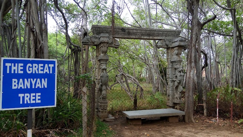 Theosophical Society - Theosophical Society, Adyar, Chennai, Tamil Nadu, India