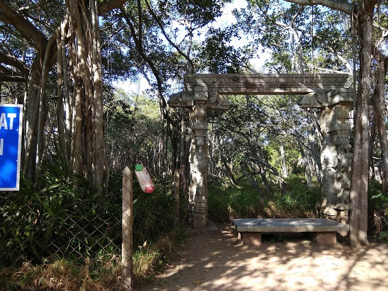 Adyar Banyan Tree - Adyar Banyan Tree, 2769+487, Schwarz Ave, Theosophical Society, Besant Nagar, Chennai, Tamil Nadu 600020, India