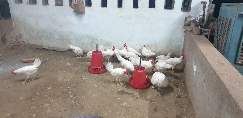 Alishba Chicken Shop - Alishba Chicken Shop Bhanupratappur Antagarh Rd, Bhanupratappur, Chhattisgarh 494669, India