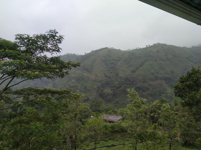 lovedales - lovedales Vagamon, Keralam 685503, India