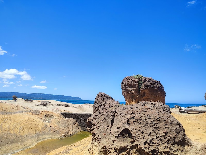 Yehliu Geopark - Yehliu Geopark, 207, Taiwan, New Taipei City, Wanli District, 港東路167-1號