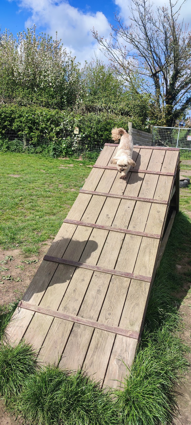 Ivy Boarding Kennels & Cattery - Ivy Boarding Kennels & Cattery Storeton Lodge Farm, Keepers Lane, Birkenhead, Storeton CH63 6HX, UK