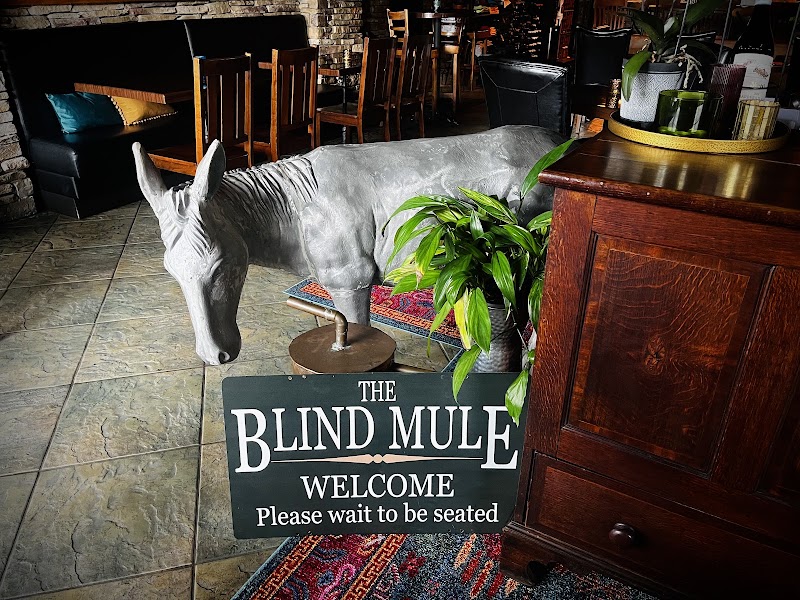 The Blind Mule Brevard - The Blind Mule Brevard 14 Gaston St, Brevard, NC 28712, USA