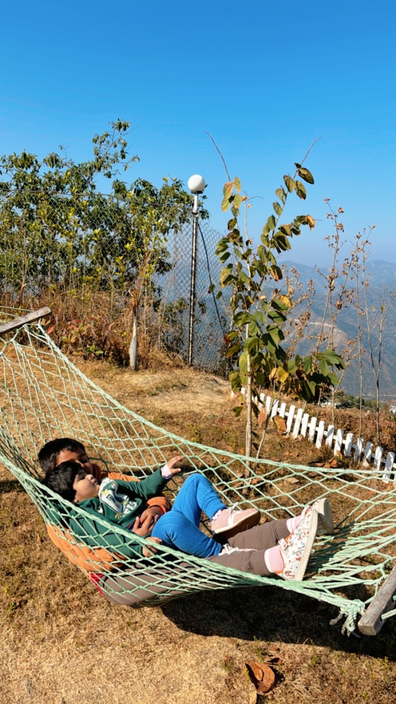 SaffronStays Glasshouse Celeste - Villa in Ranikhet - SaffronStays Glasshouse Celeste - Villa in Ranikhet Midway Corbett, Road Village - Jehaad, near Maa Bhona Devi Temple, Ghatti, Ranikhet, Basot, Uttarakhand 263680, India