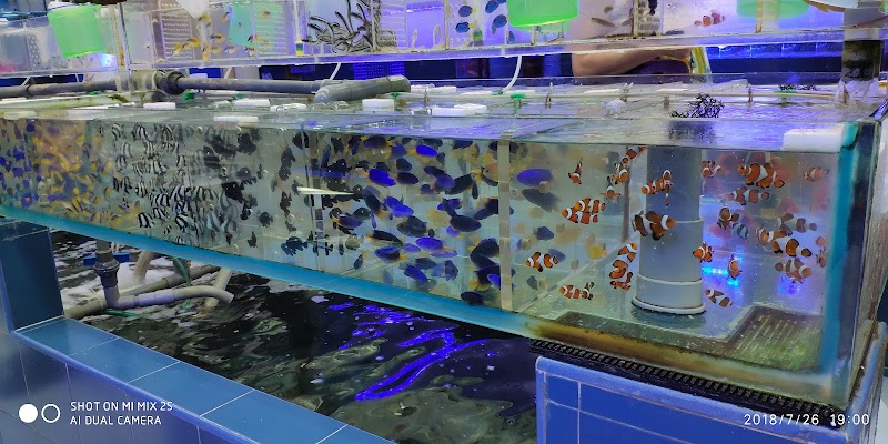 Ocean World Aquarium - Ocean World Aquarium 207號 Tung Choi St, Prince Edward, Hong Kong