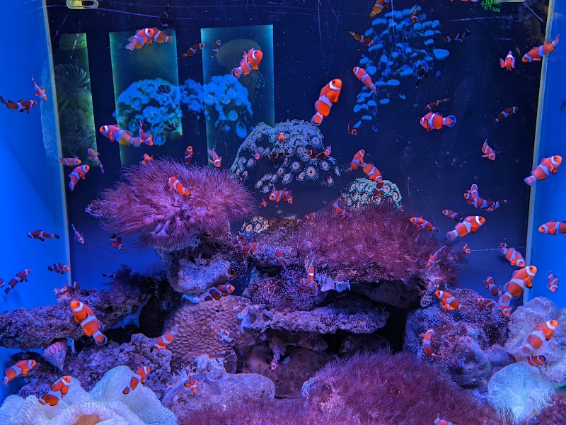 Thủy cung Vinpearl Nha Trang