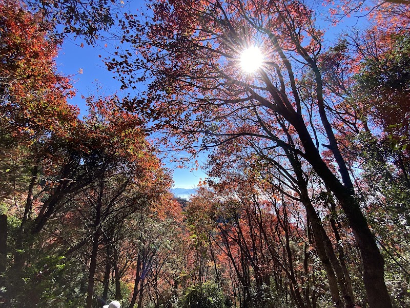 鳶嘴稍來小雪山國家步道木梯 - 鳶嘴稍來小雪山國家步道木梯, Heping District, Taichung City, Taiwan 424