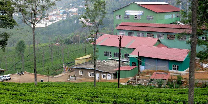 Coonoor Estates - Coonoor Estates C/O Matheson, Bosanquet Enterprises Pvt LTD, Bandishola, Coonoor, Tamil Nadu 643103, India