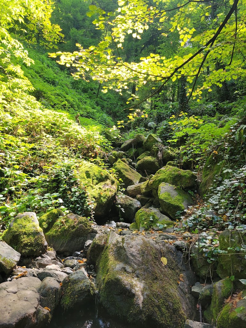Ninoskhevi Waterfall Trailhead - ნინოსხევის ჩანჩქერის ბილიკის დასაწყისი - Ninoskhevi Waterfall Trailhead - ნინოსხევის ჩანჩქერის ბილიკის დასაწყისი, Lagodekhi Municipality, Georgia