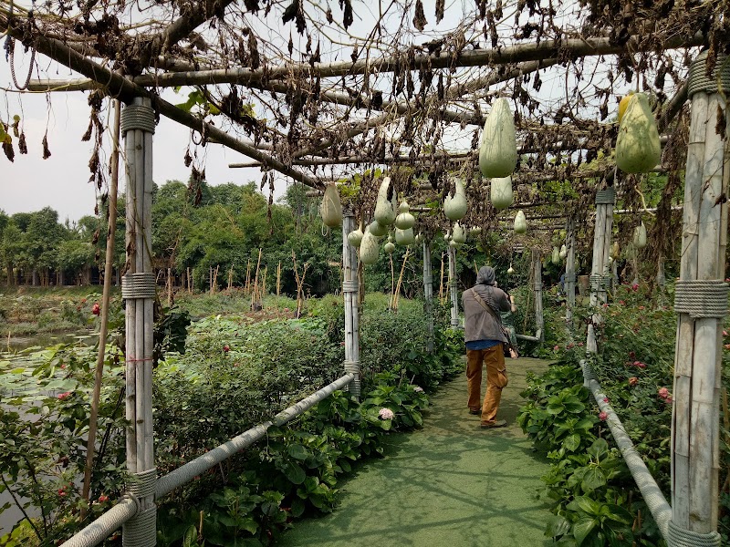 Thung lũng hoa hồ Tây - Thung lũng hoa hồ Tây, Ngã 3 P. Nhật Chiêu, Tây Hồ, Hà Nội, Vietnam