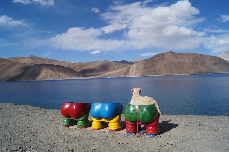 Pangong Tso - Pangong Tso Pangong Tso