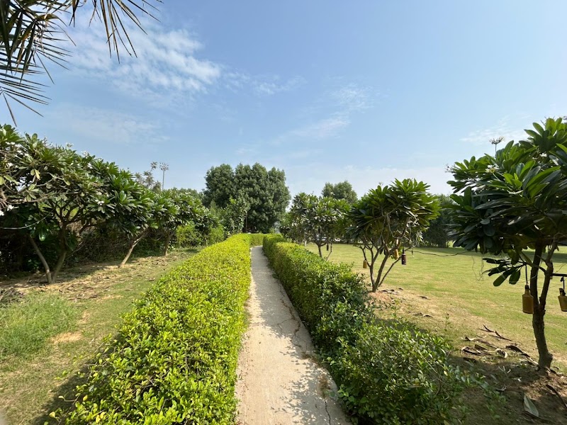 Glass villa - Glass villa C4CF+4G7, sector 58, Baliawas, Gurugram, Haryana 122011, India