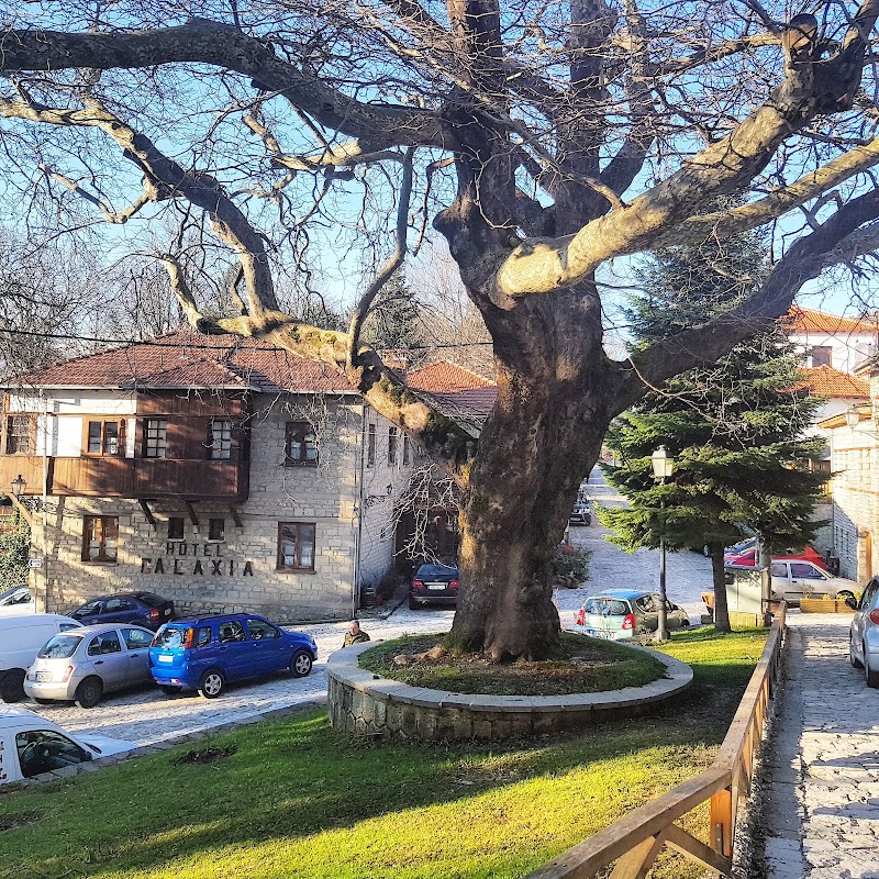 Metsovo - Metsovo Metsovo 442 00, Greece