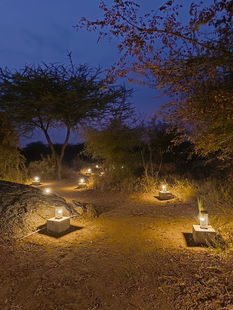 Wildscape Jawai | A luxury jungle camp in jawai