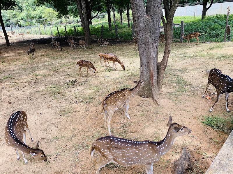 Namada Chilume Deer Park - Namada Chilume Deer Park, 958R+XFF, Devarayanadurga SF, Karnataka 572140, India