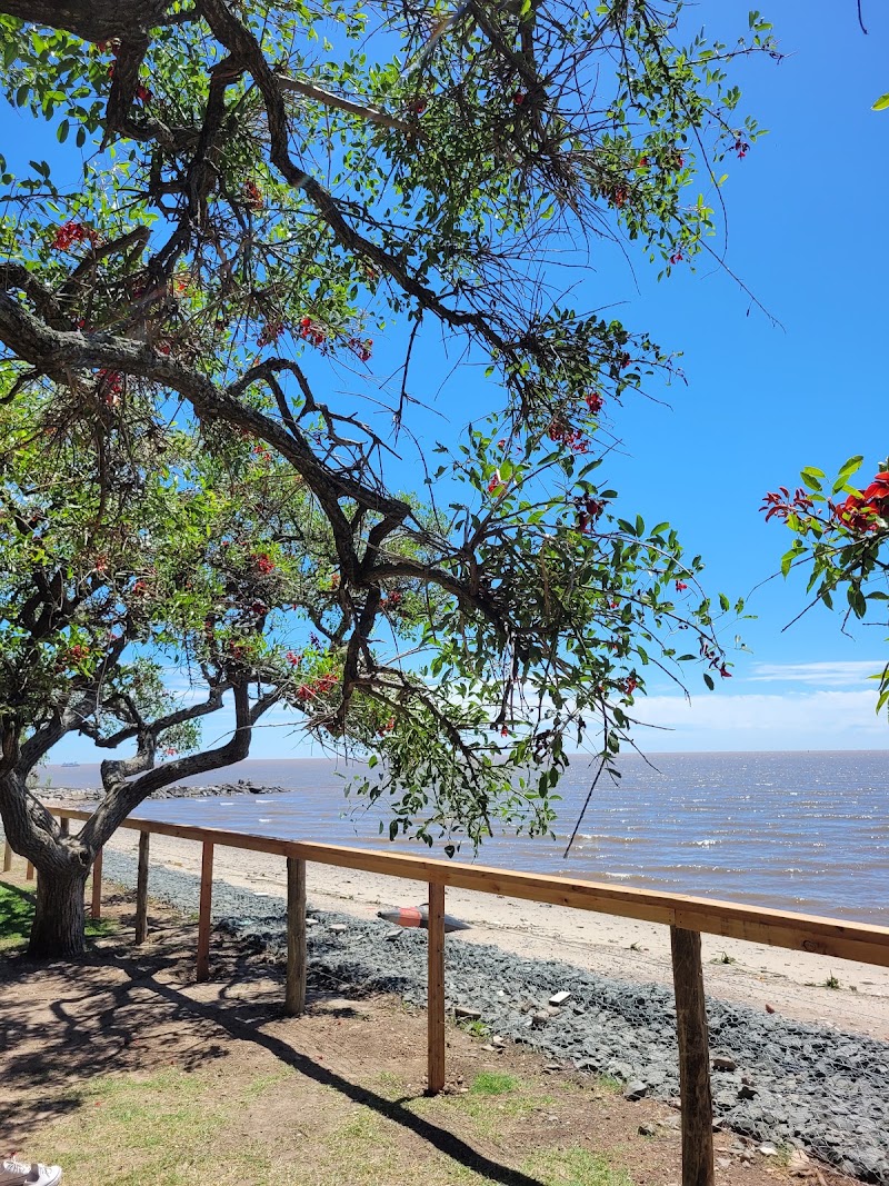 Reserva Ecológica Costanera Sur - Reserva Ecológica Costanera Sur, Puerto Madero, C1107 Buenos Aires, Argentina