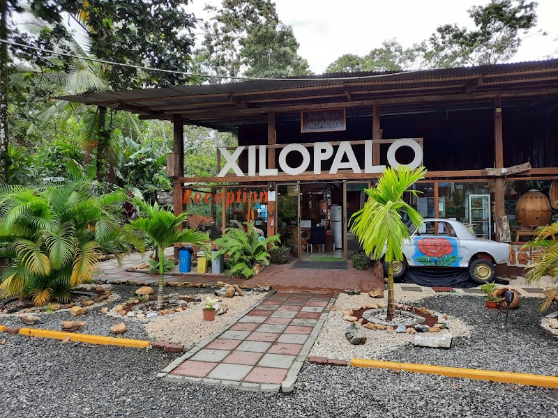 Hotel Arenal Xilopalo