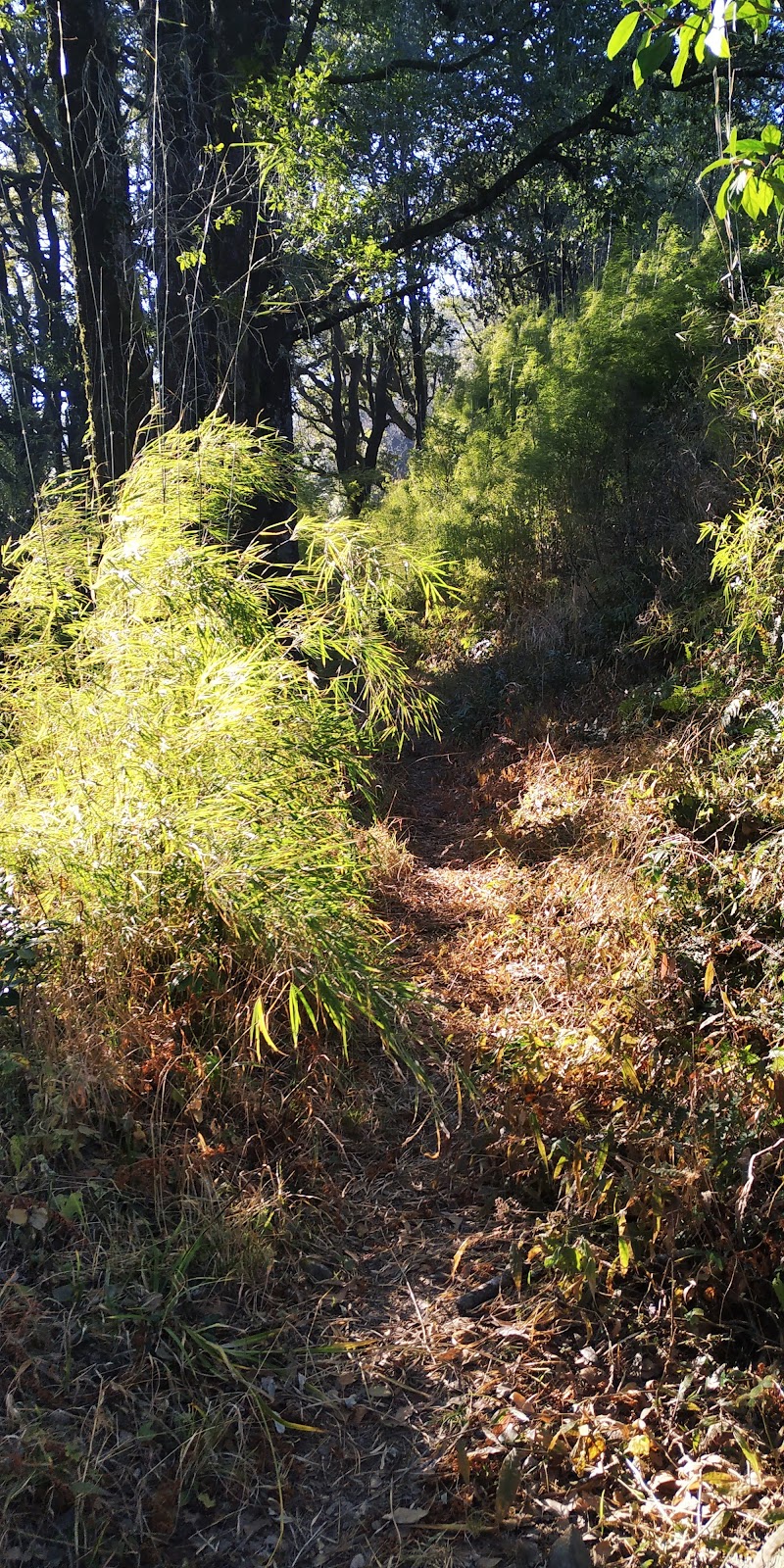 Tagore Top - Tagore Top, CH73+F95, Gagar, Bhowali Range, Uttarakhand 263137, India