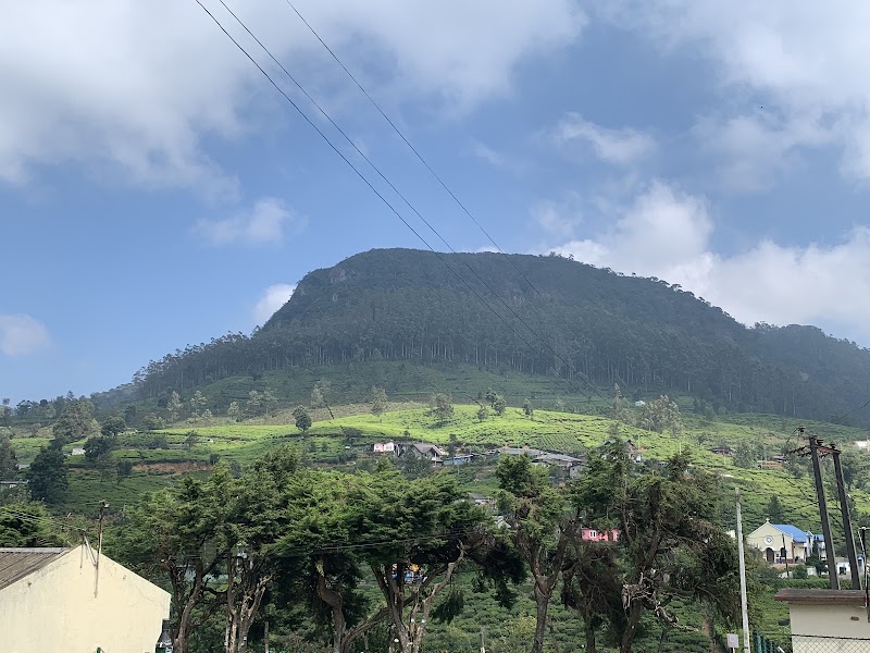 LOVER'S LEAP The Ethical TEA Boutique - LOVER'S LEAP The Ethical TEA Boutique XQCW+2HR, Nuwara Eliya, Sri Lanka