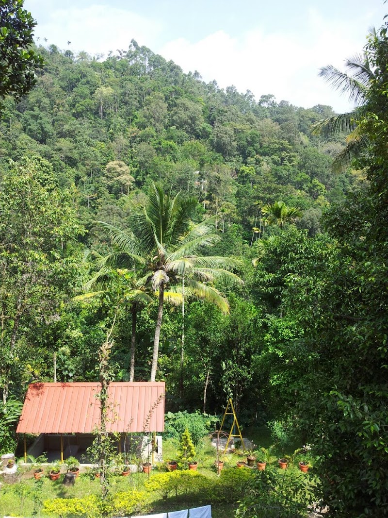Mushroom Valley Homestay - Mushroom Valley Homestay Chithirapuram, Aadit, Kerala 685565, India
