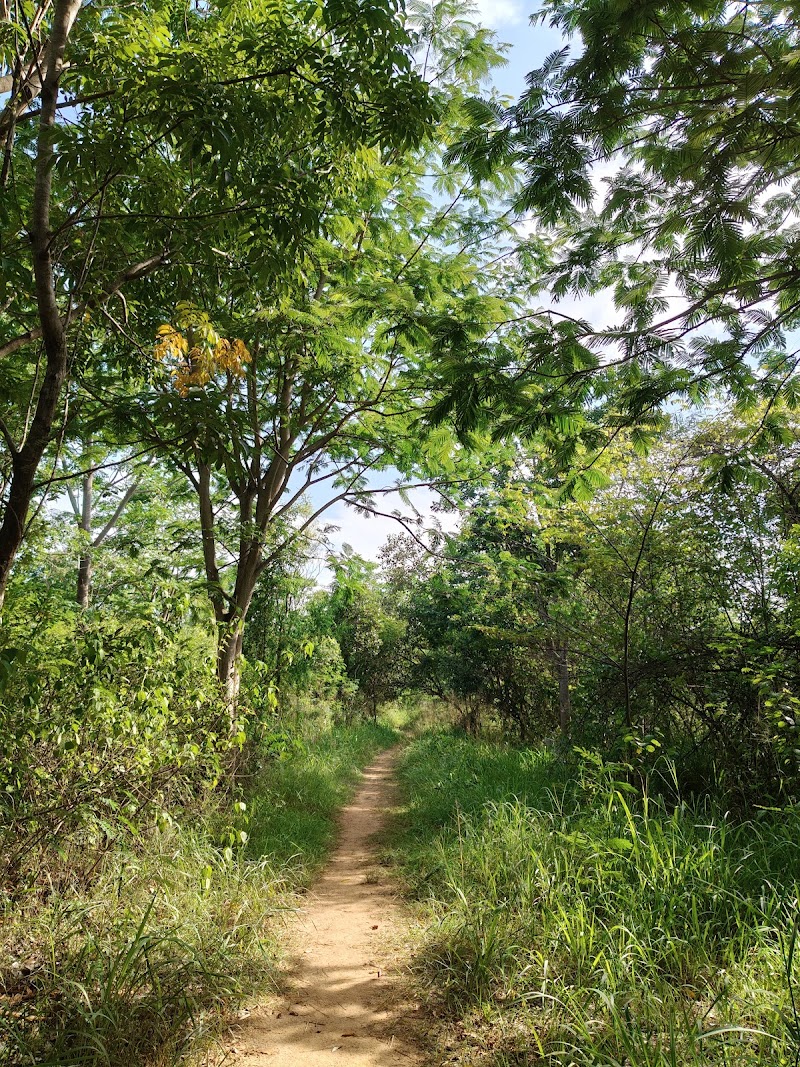 Avalahalli Forest - Avalahalli Forest 4GJW+7J6, Jarakbandekaval, Karnataka 560119, India