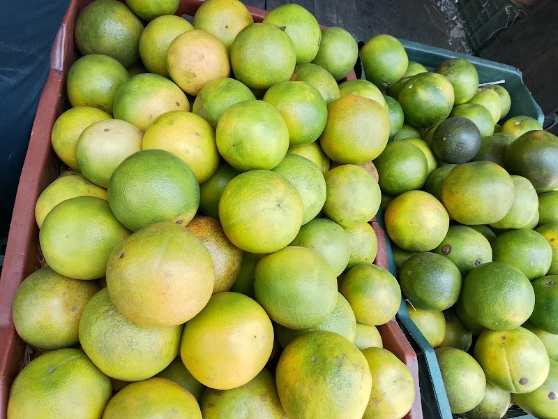 Grain Market - Grain Market, Subzi Mandi, Sector 26 East, Chandigarh, 160019, India
