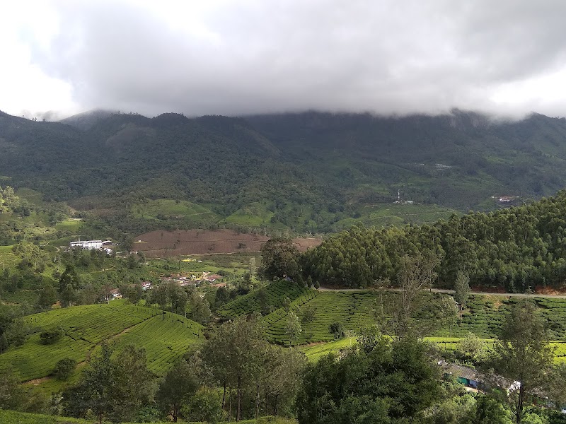 Talayar Tea Factory - Talayar Tea Factory 5442+FV8, Kannan Devan Hills, Kerala 685614, India