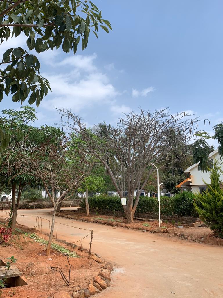 Citrus Earth Villa - Citrus Earth Villa 6H62+6V9 Citrus Earth Villa, Doddaballapura Main Rd, Suradhenupura, Rajanukunte, Karnataka 562163, India